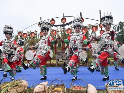 多(duō)地迎來:多(duō)彩活動 喜迎豐收